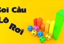 Lô rơi lâu nhất bao nhiêu ngày – Cách soi lô rơi trúng chuẩn nhất Lô rơi lâu nhất bao nhiêu ngày